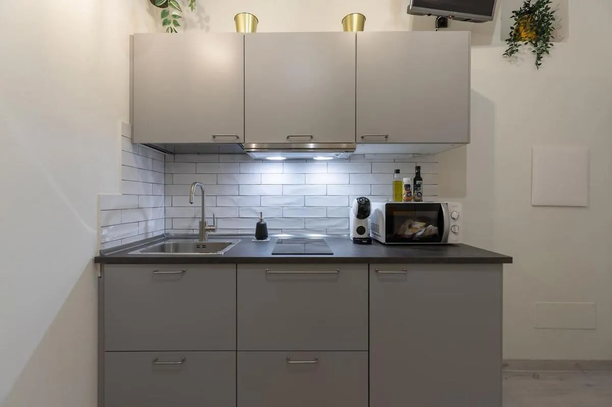 The Court Of Santo Spirito Apartment Florence
