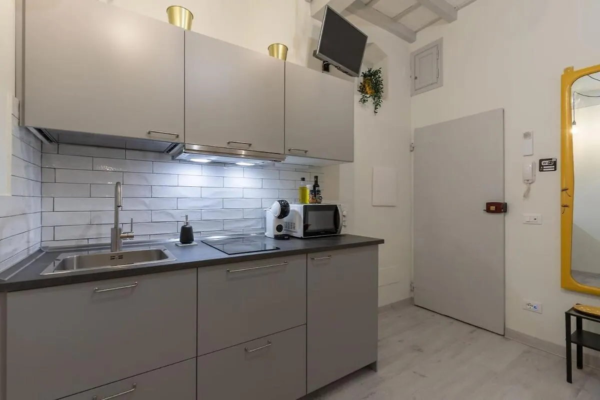 The Court Of Santo Spirito Apartment Florence